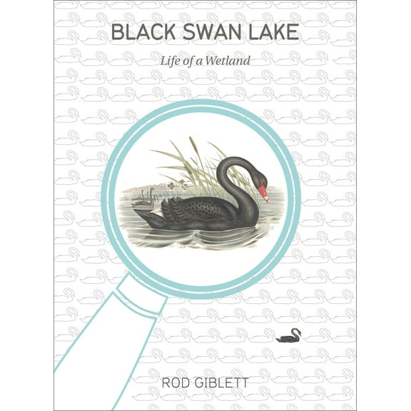 Cultural Studies of Natures, Landscapes and Environments: Black Swan Lake : Life of a Wetland (Paperback)