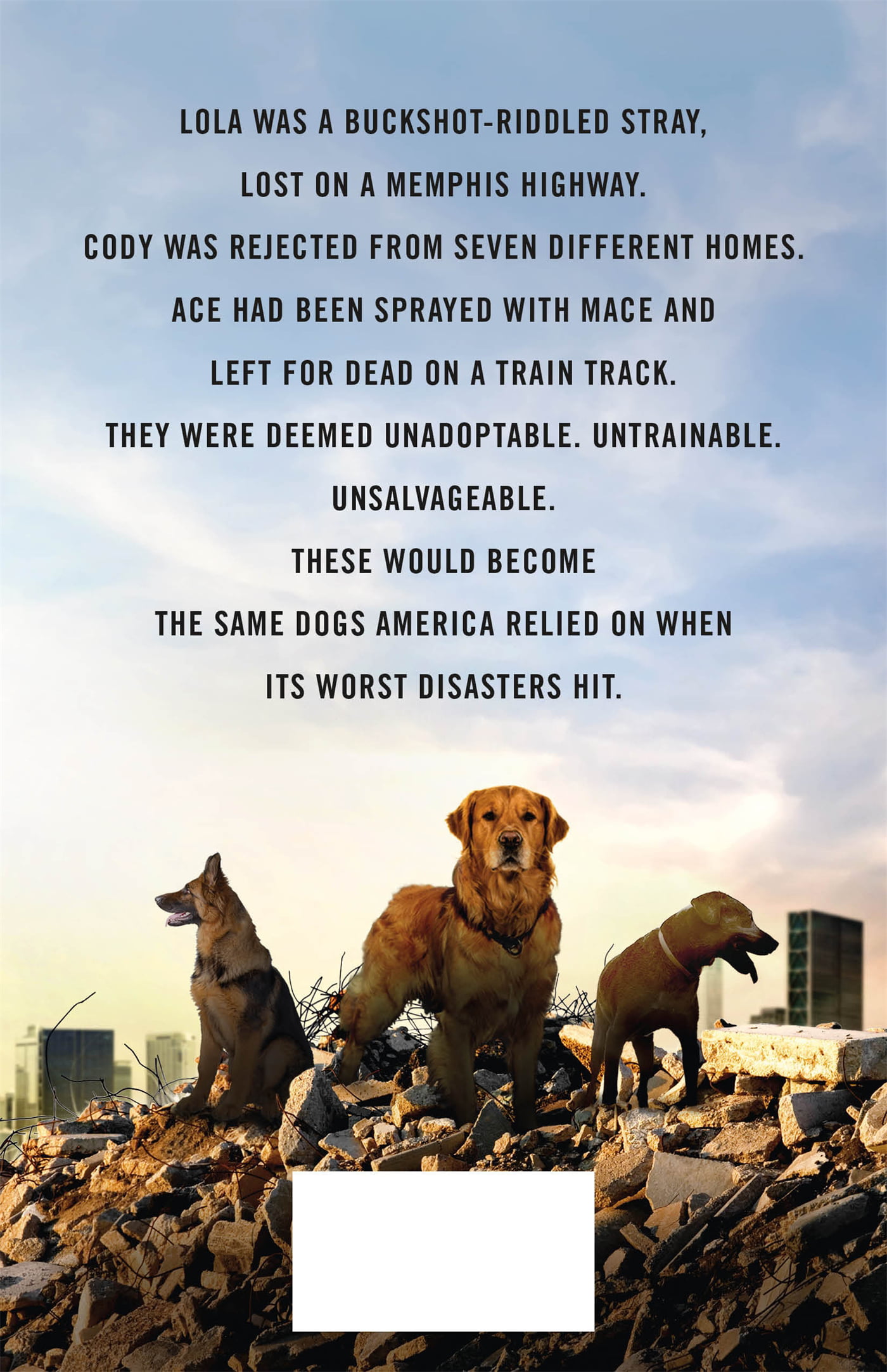 Hero Dogs : How a Pack of Rescues, Rejects, and Strays Became America's  Greatest Disaster-Search Partners (Hardcover) 