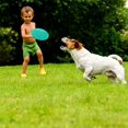 thumbnail image 5 of Frisbee Dog Toys, Frisbee for Dogs, For Large Dogs Outdoor Activities, Dog Training(Orange), 5 of 5
