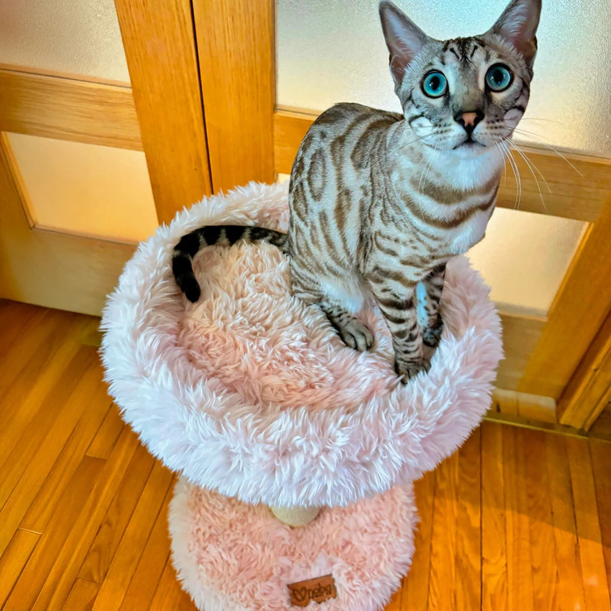 Noba: Classic Cat Tree - Blush Dusty Pink - 1-Level Round Perch, Cozy Faux Fur, Scratchable Rope Post, Climb-Play-Sleep, Animal Pet Lounge, 16 x 24"