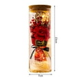 thumbnail image 6 of Tnobhg Preserved Flower Glass Wishing Bottle Eternal Rose Flower with LED Light Romantic Gift for Lover Friends, 6 of 8