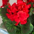 thumbnail image 5 of Set of 3 Silk Red Geranium Bouquets - For Spring and Summer Floral Arrangements, Centerpieces and Home Decor, 5 of 7