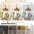 thumbnail image 4 of Noaman 20 inch Outdoor Ceiling Fan with Light Remote Control, Waterproof Brown Ceiling Fan for Patio Gazebo, 3 Color Temperatures & Dimmable LED, 4 of 9