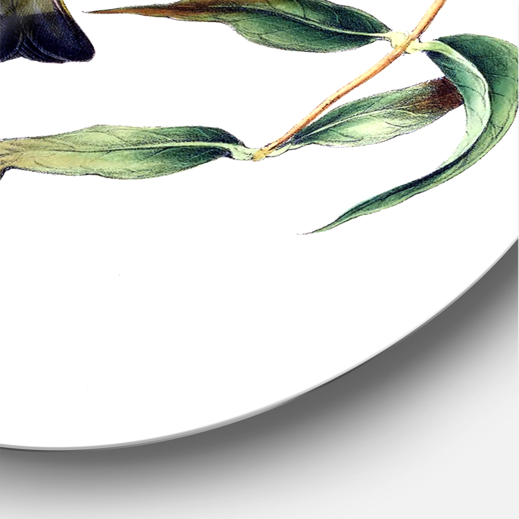 Designart 'Vintage Countryside Birds On Branch II' Farmhouse Circle Metal Wall Art 36x36 - Disc of 36