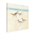 thumbnail image 2 of Avery Tillmon 'Sandpipers Square I Blue' Canvas Art, 2 of 4