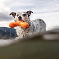 thumbnail image 3 of shiyou-Hound2O Jouets pour Chiens - Boomerang Qui Couine, Orange - Résistant, Engageant, & Interactif pour Toutes les Races - Mâcher, Chase, & Rapporter - Matériaux Durables Non Toxiques / Matériaux Qui Flottent, Facile à Nettoyer Extérieur, 3 of 4