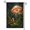 B, variant on XaaKee Spring Garden Flag Magical Botany Mystic Grove Beacon Double-sided High-Quality White Linen Yard Flag Pathway Decor 12x18Inch