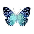 thumbnail image 2 of Bosco, Julia 32x25 White Modern Wood Framed Museum Art Print Titled - Butterfly in Metallic II, 2 of 4