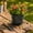 Green #2, variant on Plastic Flower Pots for Outdoor Plants | Sun Protection Garden Planters with Drainage Tray | Thickened Flowerpot for Home Patio Balcony Decor | Indoor Outdoor Container for Flowers Vegetables