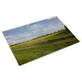thumbnail image 3 of Print: Rural Alabama In The Spring, 2010, 3 of 4