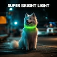 thumbnail image 7 of LED Dog Collar USB Rechargeable Glowing, Pet Collars Lighted Up Safety Necklace Glow in the Dark for You & Your Dogs (Green), 7 of 7