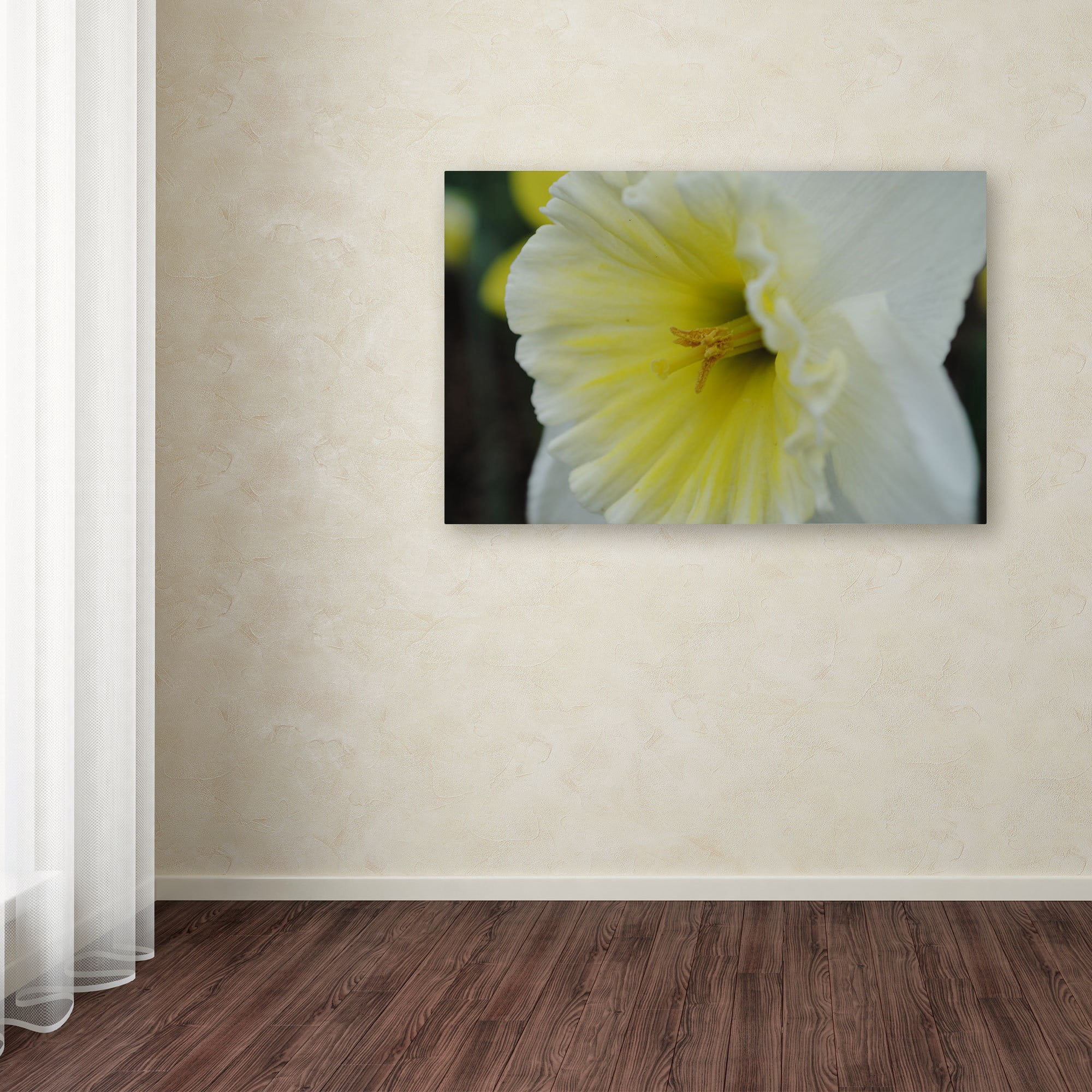 Trademark Fine Art "Vitality" Canvas Art by Monica Fleet