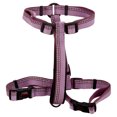 thumbnail image 5 of HALTI Nylon Dog Walking Harness, Medium, Purple (Chest 22" - 30"), 5 of 12