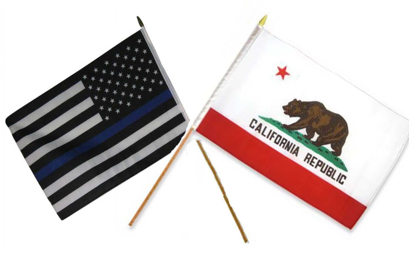 California Flag Ca State Banner Pennant 3x5 Foot Indoor Outdoor 36x60 Inches for sale online 