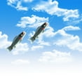 thumbnail image 3 of Fish Windsock Carp Windsock Fish Flag Fish Wind Streamer Outdoor Decoration, 3 of 5