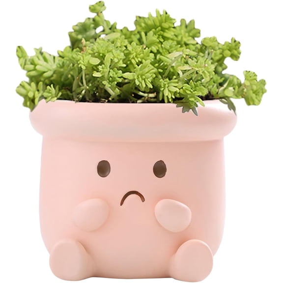 Cute Face Planter Pot, Small Resin Head Planters for Indoor Plants, Funny Smiling Face Flower Pot Succulent Planter with Drainage Hole, Gift IdeaI for Birthday Christmas (Pink)