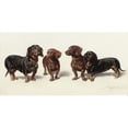 thumbnail image 2 of Carl Reichert 18x11 Black Ornate Wood Framed Double Matted Museum Art Print Titled - Four Dachshunds (1900), 2 of 5