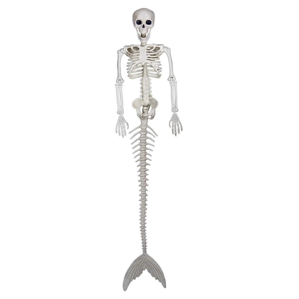GIANTEX Squelette Articulé d'Halloween 160 cm avec 7 Articulations Mobiles et Corde pour