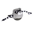 thumbnail image 4 of Quirky Kitty Rolly Raccoon Bobbler Compressed Catnip Ball Cat Toy, 4 of 9