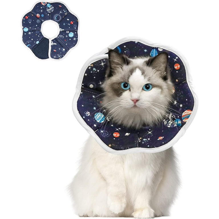 Soft pet best sale cones for cats