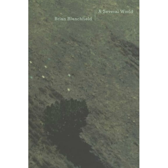 A Several World (Paperback)