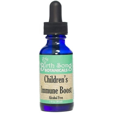 Birth Song Botanicals Children's Immune Boost Tincture, Kids Immune System Support Supplement with Echinacea, Liquid Herbal Immune Drops for Kids, Children's Echinacea Herb Immune Formula 1oz Bottle