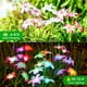 thumbnail image 3 of Luces solares para jardín WDTPro, paquete de 8 unidades, 32 lirios en flor, RGB, 3 of 7