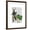 Brown Frame, variant on Art.com Mr Deer and Mrs Rabbit Art Print by Fab Funky, 12" x 16"