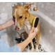 thumbnail image 2 of Cepillo de goma de doble cara para el aseo y masaje de perros y gatos, cepillo de limpieza para el baño de mascotas, peine de masaje, removedor de pelo para pelo largo y corto., 2 of 5