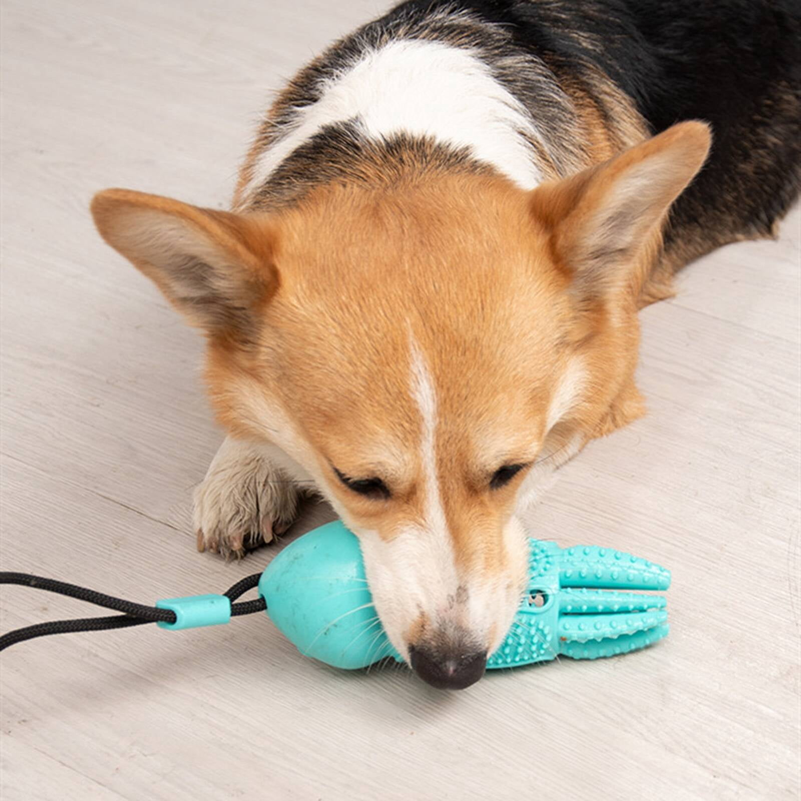 BESTSKY 2026 New Dog Ball Maintains Oral Hygiene Puppy Teething Toy Attracts Pet Interest Dog Chew Toy Green for Dental Care Teething Relief Interactive Play Puppy Entertainment