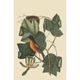 thumbnail image 1 of Baltimore Oriole-Fine Art Canvas Print (20" x 30"), 1 of 1