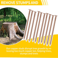 thumbnail image 2 of HOT Copper Nails Kit, 3.5 Inch Stump Removal Spikes,Pure Nails, Tool for Trees Stumps Landscaping, 2 of 4