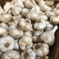thumbnail image 2 of California White Softneck Garlic Bulbs, 0.5 Pound, Garden-Ready Cloves for Planting Indoors or Outdoors, 2 of 5