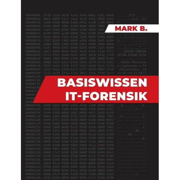 Basiswissen IT Forensik, (Paperback)