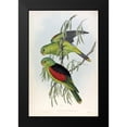 thumbnail image 2 of Gould, John 17x24 Black Modern Framed Museum Art Print Titled - Red Winged Lory, 2 of 5
