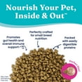 thumbnail image 5 of Solid Gold Mighty Mini Dog Food for Toy & Small Breeds, Grain Free, Beef, 11lb, 5 of 6