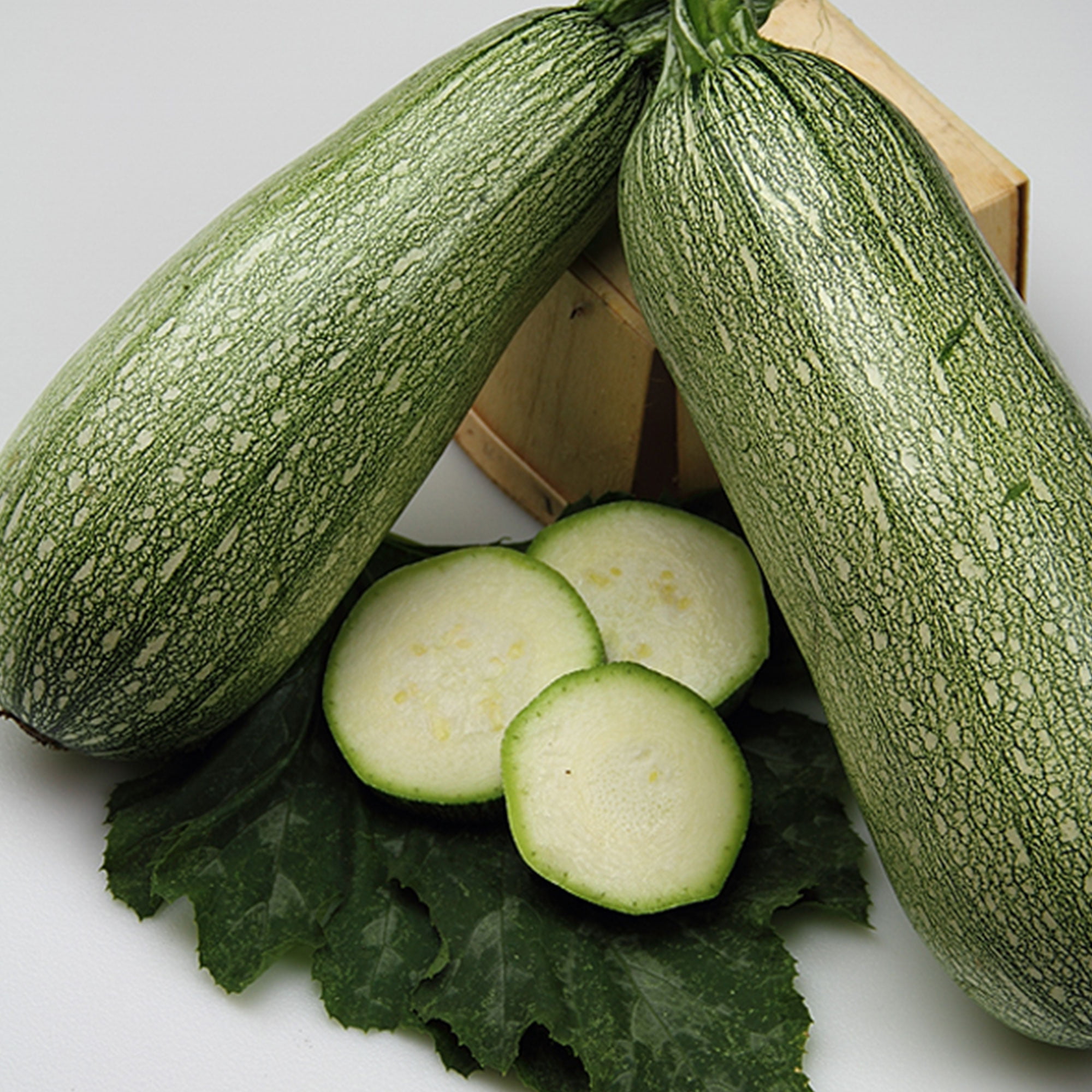 Vegetable Fresh USA Round Zucchini Summer Squash Seeds Cucurbita pepo Details about   20 