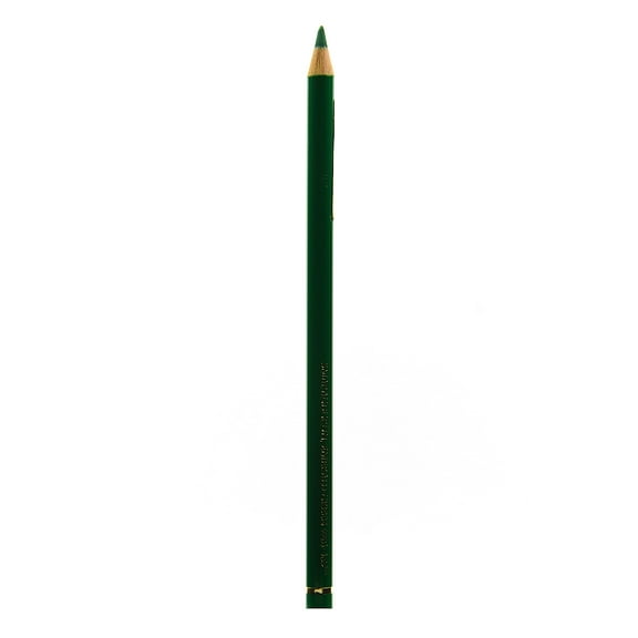 Polychromos Artist Colored Pencils (Each) emerald green, 163 (pack of 12)