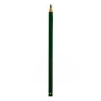 Polychromos Artist Colored Pencils (Each) emerald green, 163 (pack of 12)