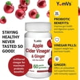 thumbnail image 4 of YumVs Vitamin Apple 60 per Bottle, 4 of 8