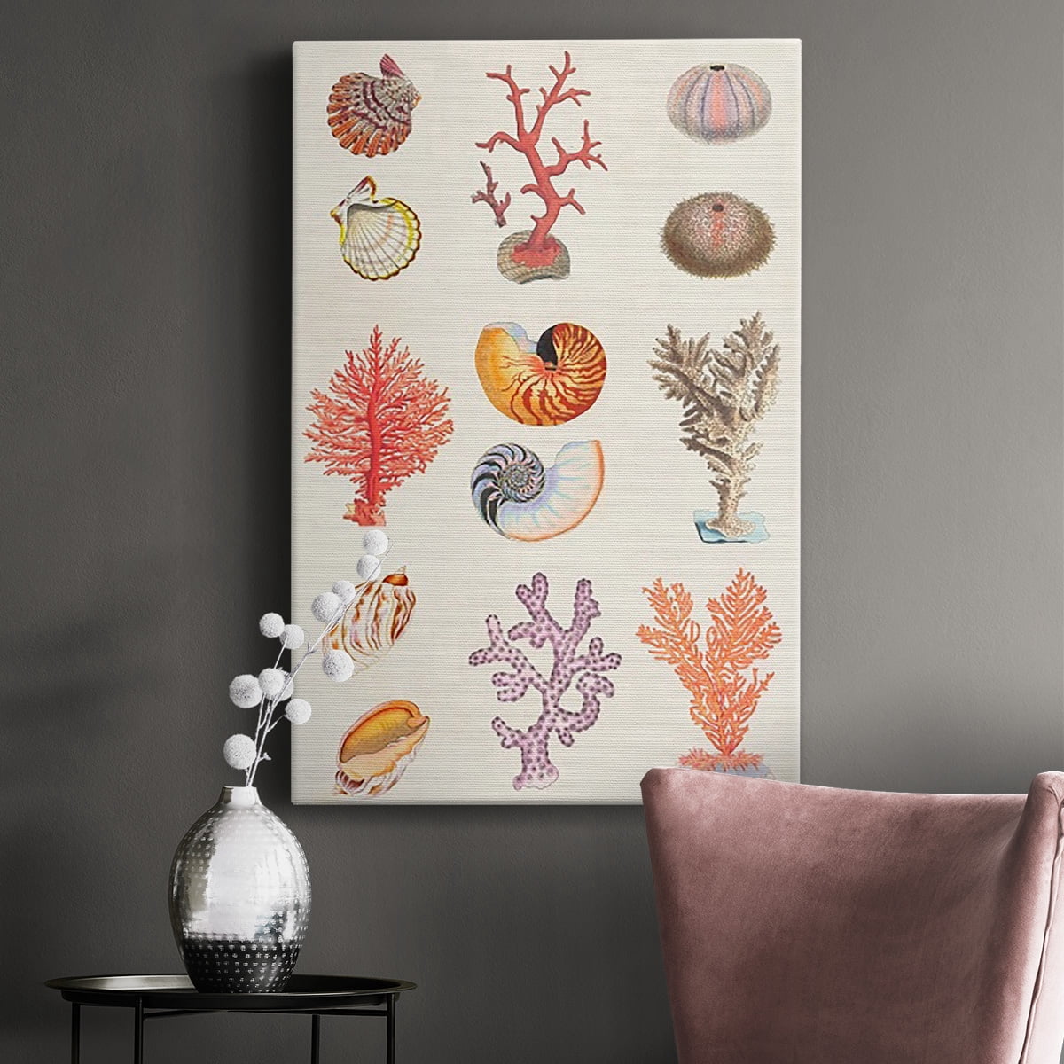 Coral & Shell Collage I Premium Gallery Wrapped Canvas - Ready to Hang