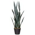 thumbnail image 2 of Northlight Real Touch™️ Artificial Two Tone Potted Snake Plant - 29", 2 of 9