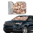 thumbnail image 3 of Kdxio Colorful Seashells Print Front Windshield Sun Shade,Folding Auto Sunshade for Car Truck SUV-Medium, 3 of 7