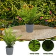 thumbnail image 4 of CRILSTYLEO Dark Blue Mini Potted Simulation Fern Plant for Home Decor Plastic Desktop Decoration 4.5 inch, 4 of 8