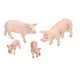 thumbnail image 3 of Pig Animals Model Figures Safe Reliable Farm Pig Model  for Improve Hands-On Ability for Training Logical Thinking ANGGREK Otros, 3 of 8