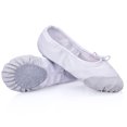 thumbnail image 1 of Girls Ballet Shoes Flat Non-slip Breathable Dancing Shoes Ballet Slippers, 1 of 6