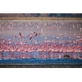 thumbnail image 2 of Richardson, Larry 18x13 Gold Ornate Wood Framed with Double Matting Museum Art Print Titled - Lesser flamingos rest and feed in Lake Magadi inside Ngorongoro Crater-Tanzania, 2 of 4