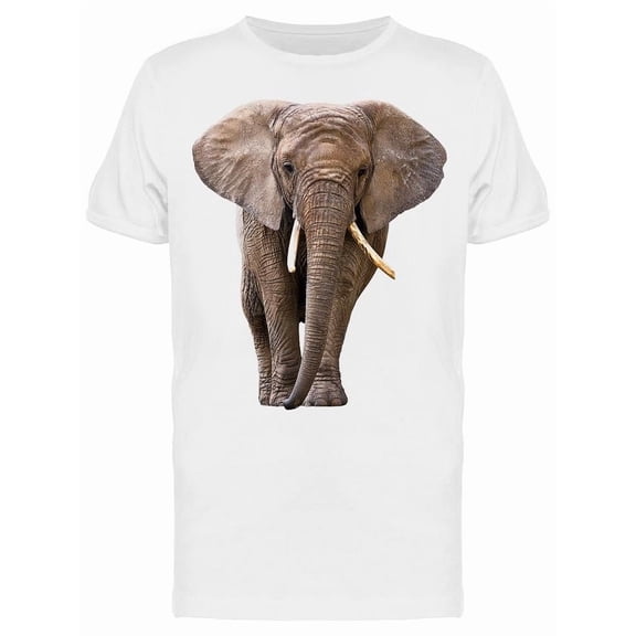 Frontview Of Beautiful Elephant Tee Men's -Image by Shutterstock