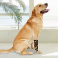 thumbnail image 4 of Dog Legs Protector, Dog Knee Brace Joint  Comfortable High Elasticity  for Postoperative Recovery for Dogs S,M,L,XL, 4 of 7