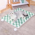 thumbnail image 5 of HOARBOEG Checkerboard Pet Blanket with Fluff Balls, Reversible Warm Fleece Throw for Cats and Dogs, Soft Pet Bed for Crate, Sofa & Car, Machine Washable Pet Mat, 15.74*19.68in, 5 of 6